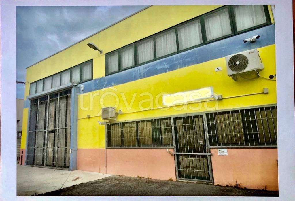 appartamento in vendita a Sant'Angelo di Piove di Sacco