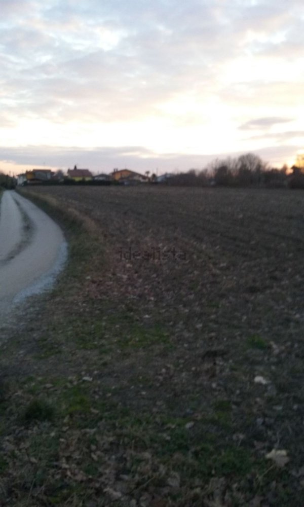 immagine annuncio 0 di 1