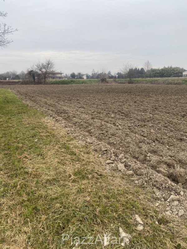 terreno agricolo in vendita a Sant'Angelo di Piove di Sacco