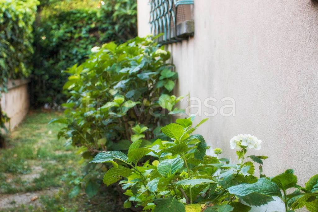 appartamento in vendita a Sant'Angelo di Piove di Sacco