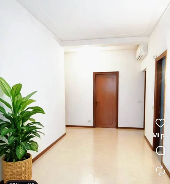 appartamento in vendita a Sant'Angelo di Piove di Sacco