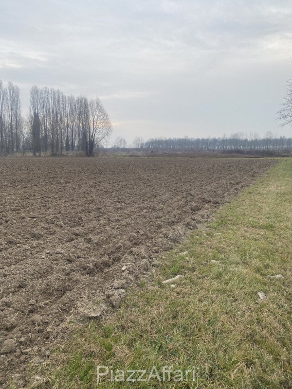 casa indipendente in vendita a Sant'Angelo di Piove di Sacco