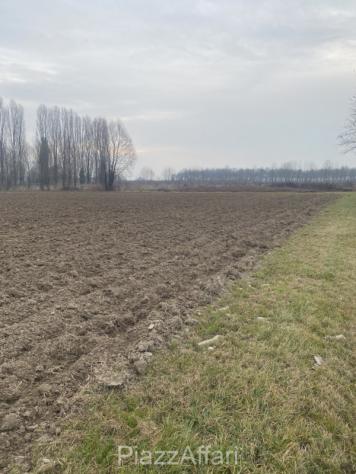 casa indipendente in vendita a Sant'Angelo di Piove di Sacco