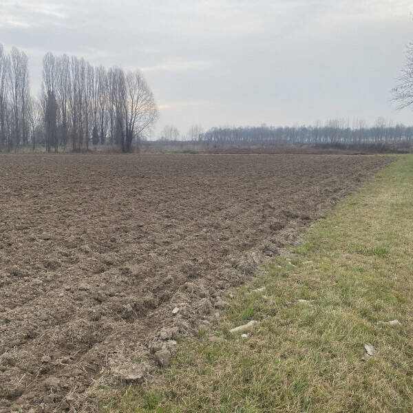 casa indipendente in vendita a Sant'Angelo di Piove di Sacco