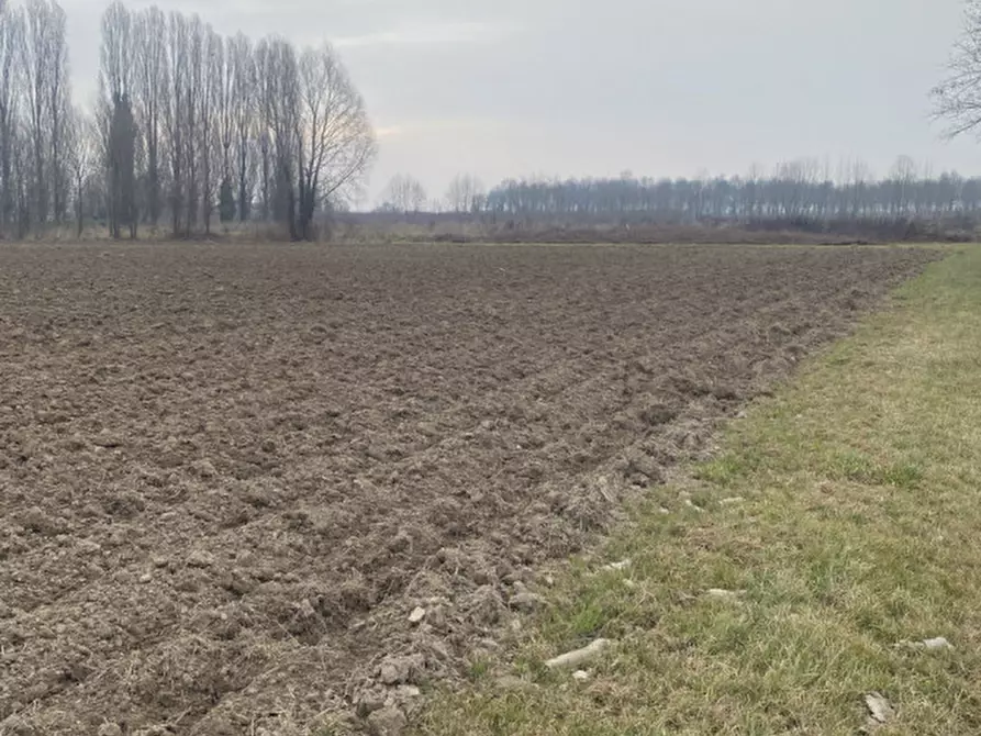 mansarda in vendita a Sant'Angelo di Piove di Sacco