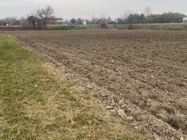 terreno agricolo in vendita a Sant'Angelo di Piove di Sacco in zona Vigorovea