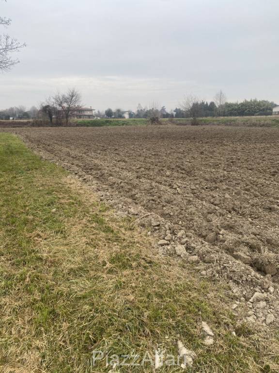 casa indipendente in vendita a Sant'Angelo di Piove di Sacco in zona Vigorovea