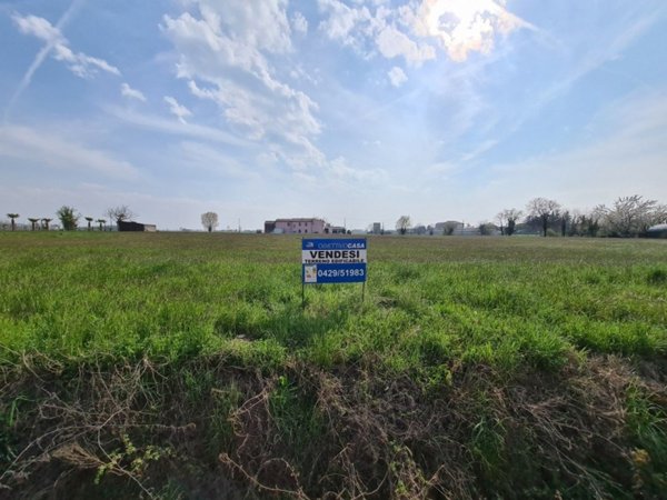 terreno agricolo in vendita a Sant'Elena