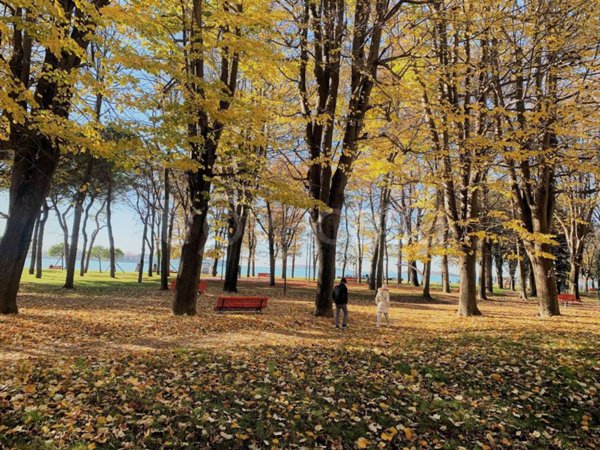 appartamento in vendita a Sant'Elena