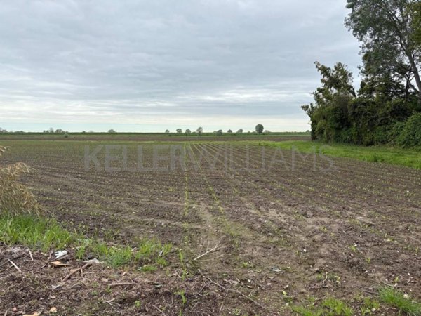 terreno agricolo in vendita a Sant'Urbano