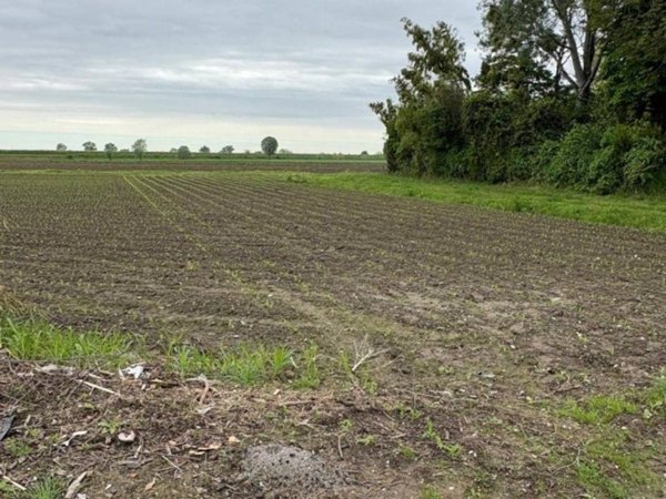 terreno agricolo in vendita a Sant'Urbano