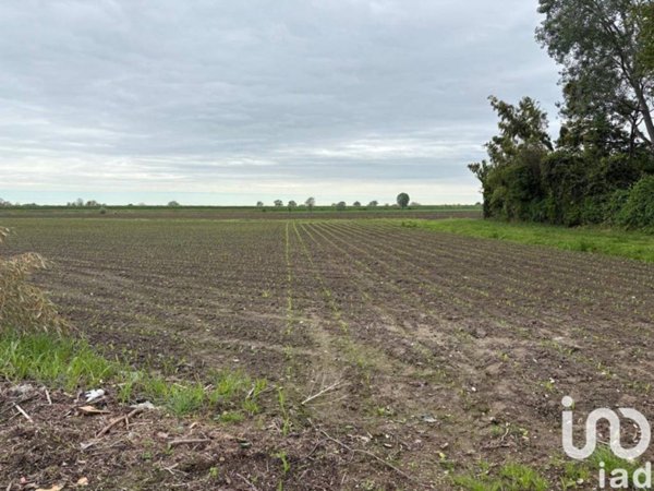 terreno agricolo in vendita a Sant'Urbano