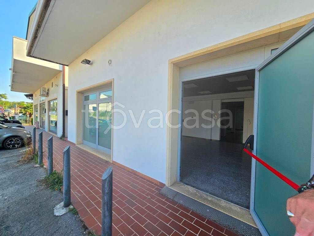 negozio in vendita a Saonara