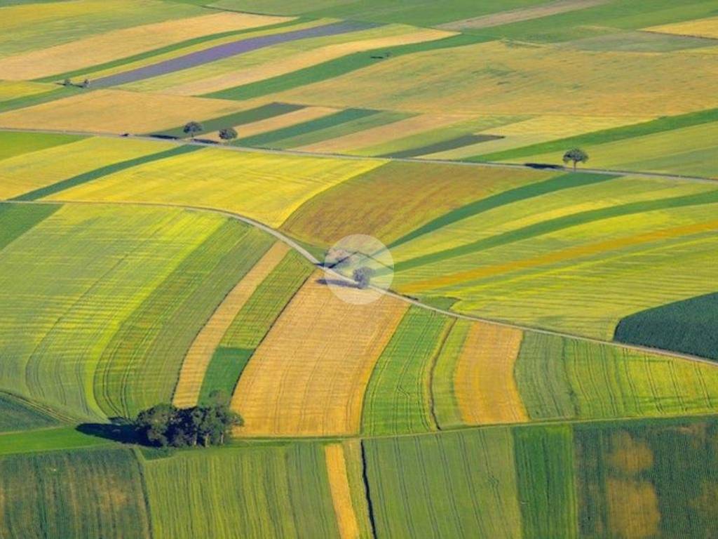 terreno agricolo in vendita a Saonara