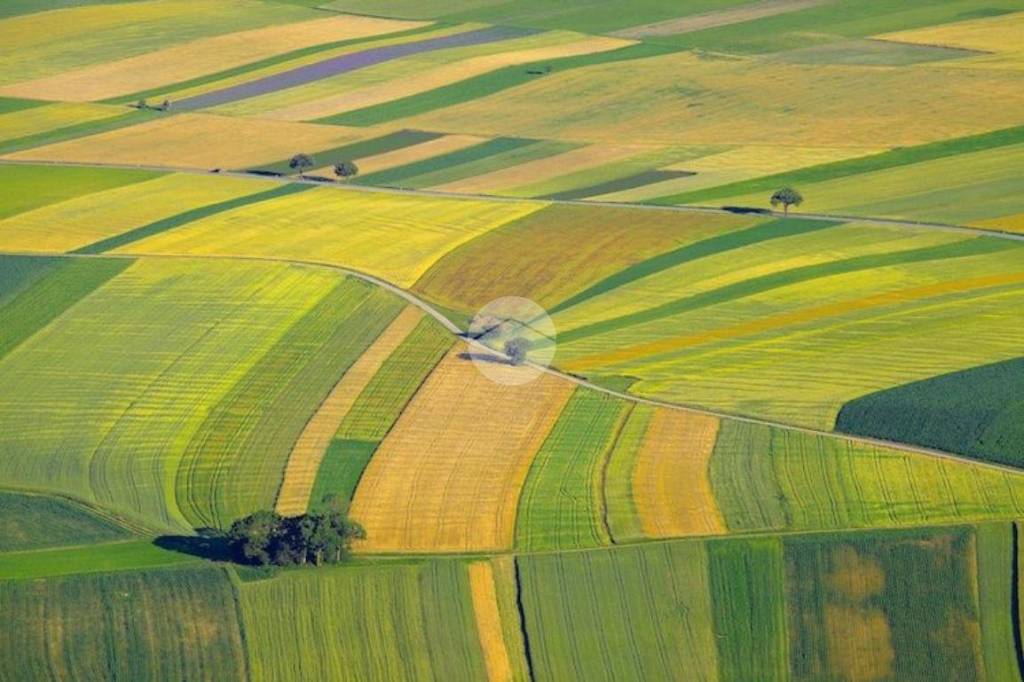 terreno agricolo in vendita a Saonara