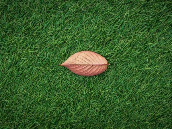 casa indipendente in vendita a Saonara in zona Villatora