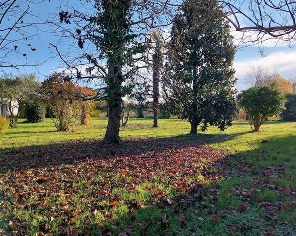 casa indipendente in vendita a Saonara