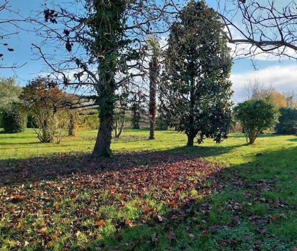 terreno agricolo in vendita a Saonara