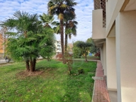 appartamento in vendita a Saonara in zona Villatora