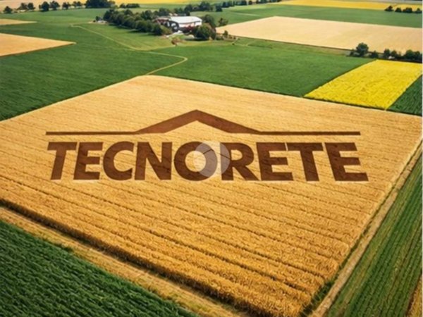 terreno edificabile in vendita a Saonara