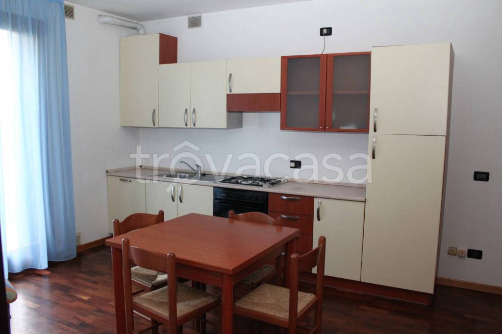 appartamento in vendita a Saonara in zona Villatora