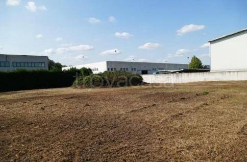 terreno agricolo in vendita a Saonara in zona Villatora