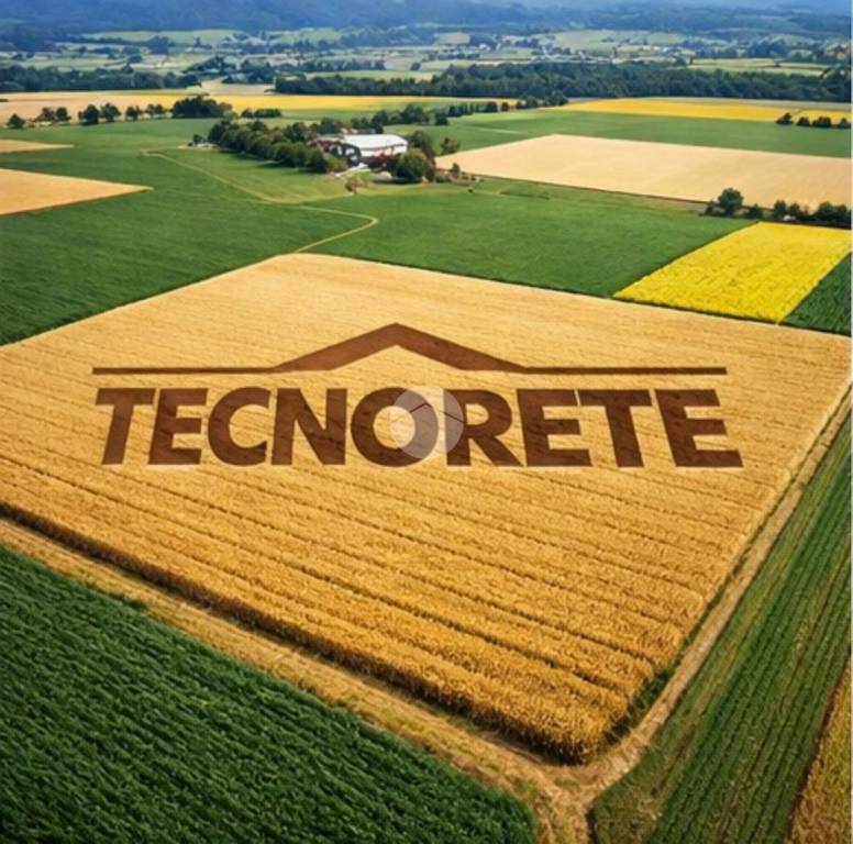terreno agricolo in vendita a Saonara