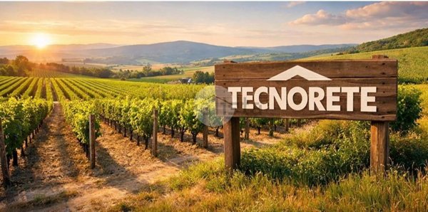 terreno agricolo in vendita a Saonara