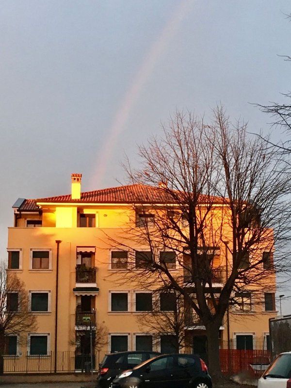 appartamento in vendita a Saonara