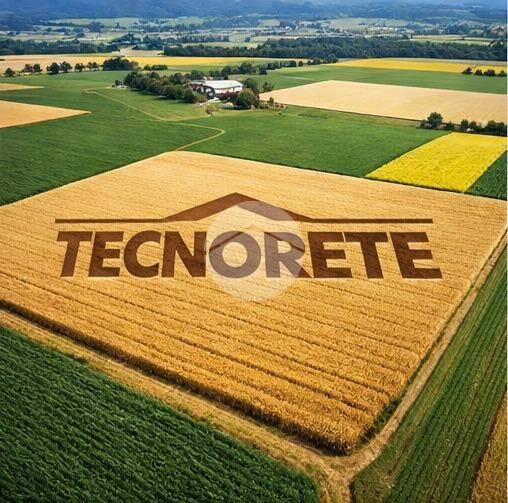 terreno agricolo in vendita a Saonara