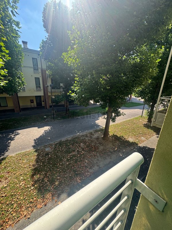 appartamento in vendita a Saonara in zona Villatora