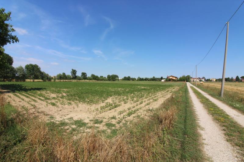 terreno agricolo in vendita a Selvazzano Dentro in zona Caselle