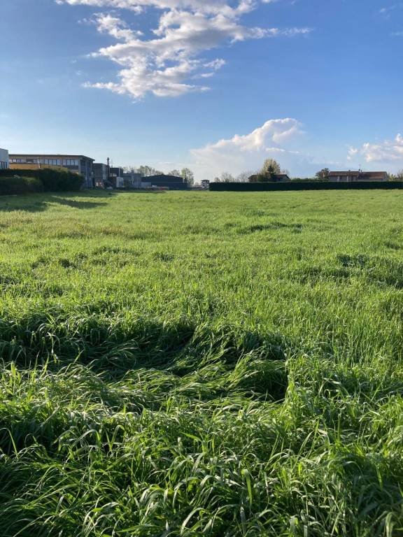 terreno agricolo in vendita a Selvazzano Dentro in zona Tencarola