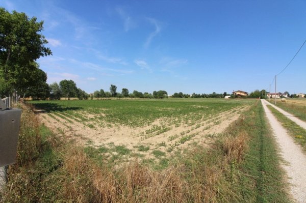 terreno agricolo in vendita a Selvazzano Dentro in zona Caselle