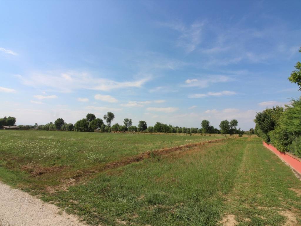 terreno agricolo in vendita a Selvazzano Dentro in zona Caselle