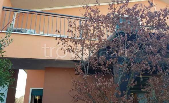 appartamento in vendita a Selvazzano Dentro in zona Tencarola