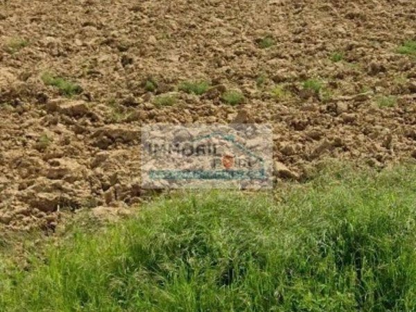 terreno agricolo in vendita a Selvazzano Dentro in zona Tencarola