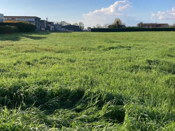 terreno agricolo in vendita a Selvazzano Dentro in zona Tencarola