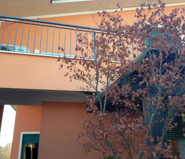 appartamento in vendita a Selvazzano Dentro
