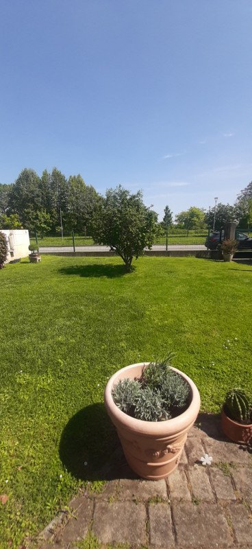 casa indipendente in vendita a Selvazzano Dentro in zona San Domenico
