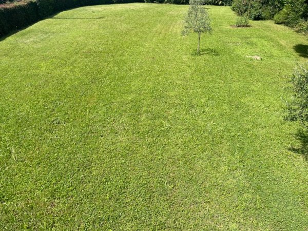 terreno agricolo in vendita a Selvazzano Dentro