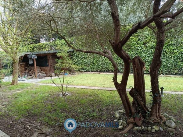 casa indipendente in vendita a Selvazzano Dentro in zona Tencarola