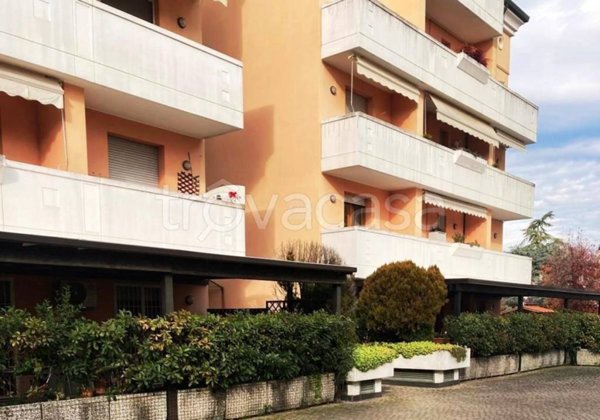 appartamento in vendita a Selvazzano Dentro in zona San Domenico