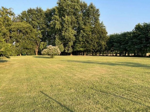 terreno agricolo in vendita a Selvazzano Dentro