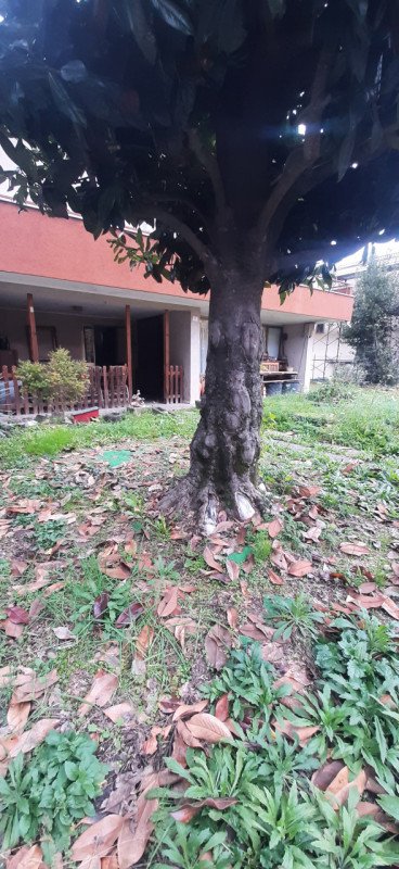 casa indipendente in vendita a Selvazzano Dentro in zona Tencarola