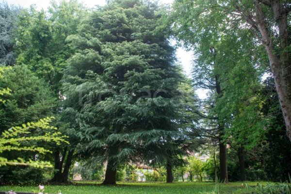 appartamento in vendita a Selvazzano Dentro