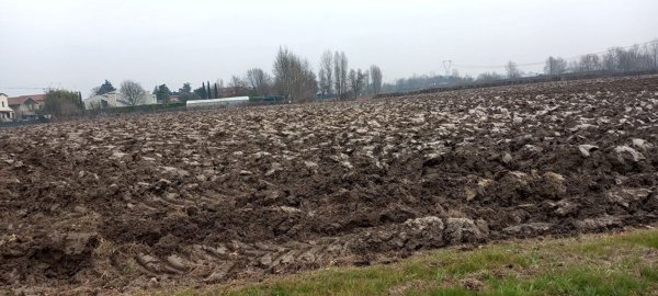 terreno agricolo in vendita a Selvazzano Dentro