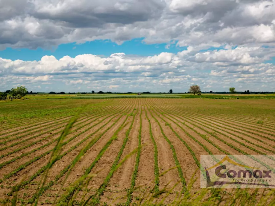 mansarda in vendita a Selvazzano Dentro
