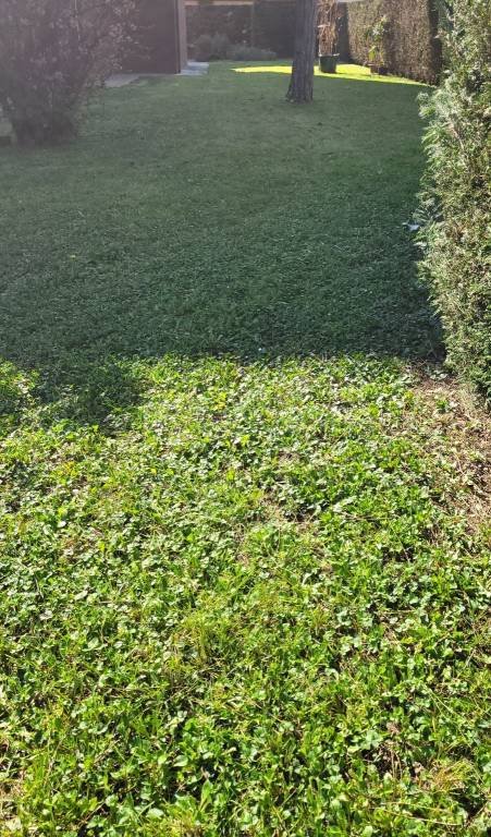 appartamento in vendita a Selvazzano Dentro in zona Tencarola