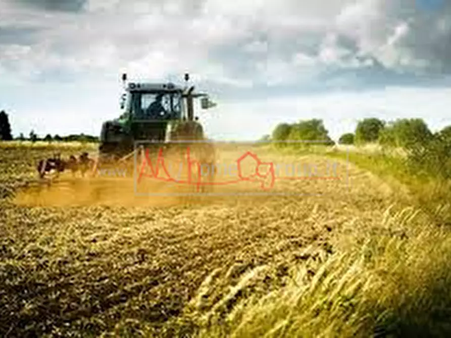 casa semindipendente in vendita a Selvazzano Dentro in zona Feriole